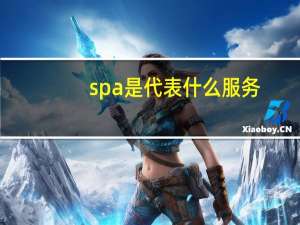 spa是代表什么服务
