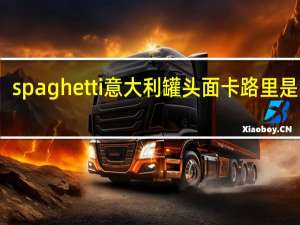 spaghetti 意大利罐头面卡路里是多少