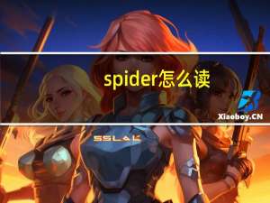 spider怎么读（spidertxt）