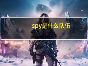 spy是什么队伍