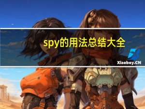 spy的用法总结大全