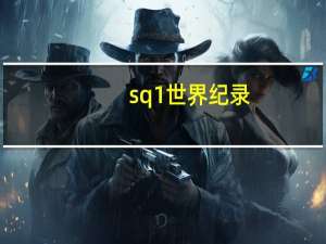 sq1世界纪录