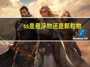 ss是悬浮物还是颗粒物