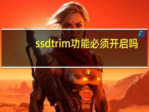 ssdtrim功能必须开启吗（ssdtrim）