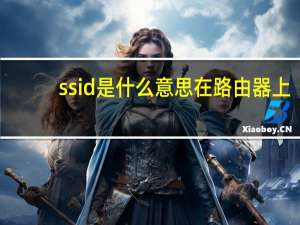 ssid是什么意思在路由器上