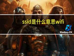 ssid是什么意思wifi（ssid是什么意思）