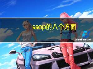 ssop的八个方面