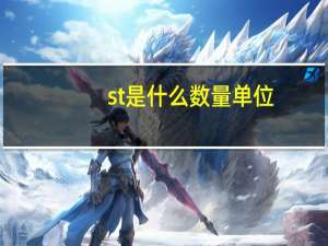 st是什么数量单位