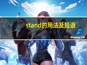 stand的用法及短语