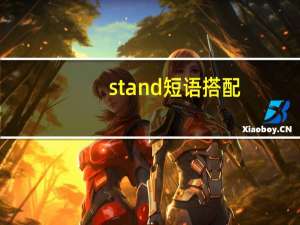 stand短语搭配