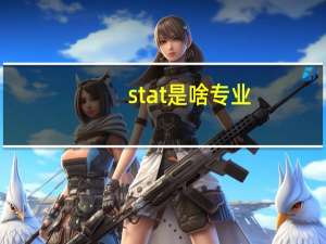 stat是啥专业