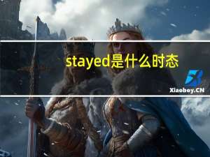 stayed是什么时态