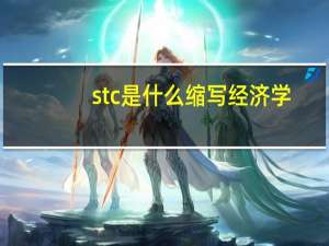 stc是什么缩写经济学