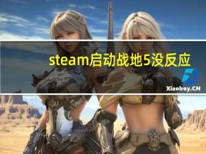 steam启动战地5没反应（steam启动）