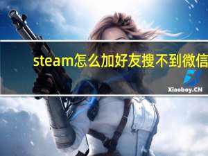 steam怎么加好友搜不到微信（steam怎么加好友搜不到）