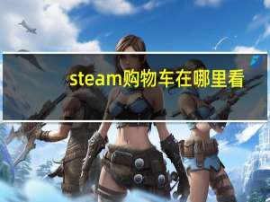 steam购物车在哪里看（steam购物车在）