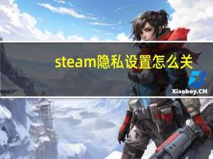 steam隐私设置怎么关（steam隐私设置在）