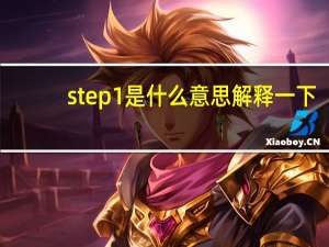 step1是什么意思解释一下