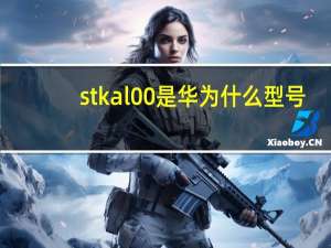 stkal00是华为什么型号（stkal00是华为什么型号）