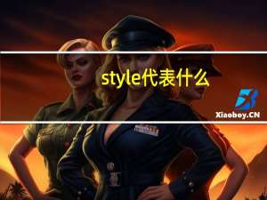 style代表什么