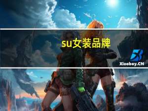 su女装品牌