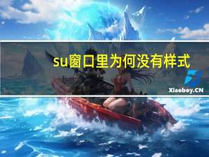 su窗口里为何没有样式