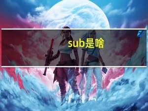 sub是啥