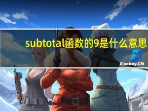 subtotal函数的9是什么意思（subtotal是什么函数）