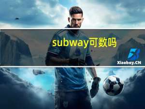 subway可数吗