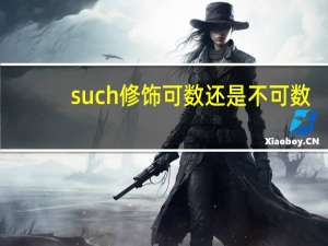such修饰可数还是不可数