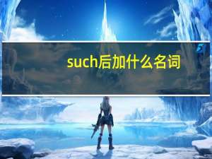 such后加什么名词