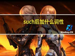 such后加什么词性