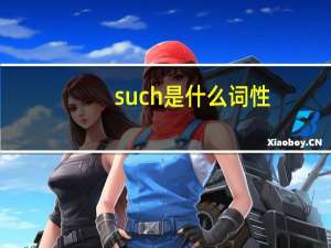 such是什么词性