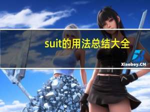 suit的用法总结大全