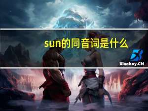 sun的同音词是什么