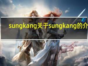 sung kang 关于sung kang的介绍