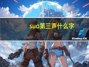 suo第三声什么字