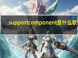 support component是什么软件