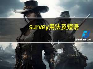 survey用法及短语
