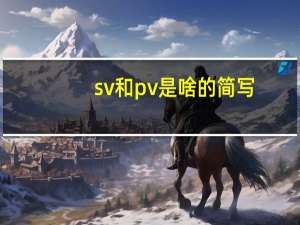 sv和pv是啥的简写