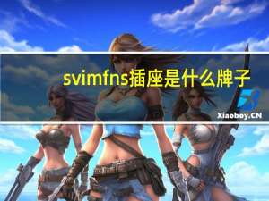 svimfns插座是什么牌子