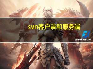 svn客户端和服务端（svn客户端）