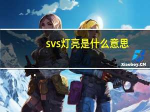 svs灯亮是什么意思