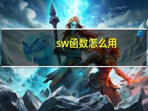 sw函数怎么用