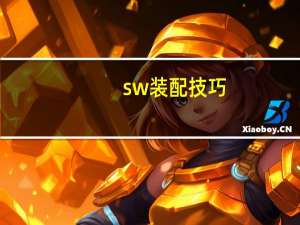 sw装配技巧