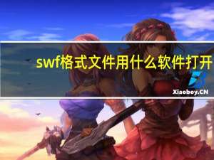 swf格式文件用什么软件打开（swf格式用什么打开）