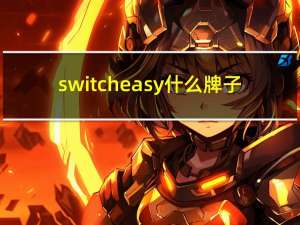 switcheasy什么牌子（switcheasy）