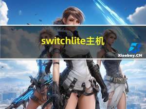 switch lite主机（任天堂的嵌入式Switch Lite机箱将于12月8日抵达）