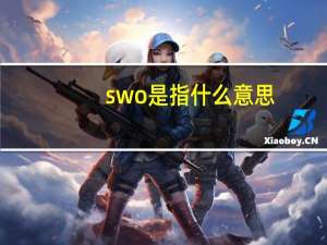 swo是指什么意思