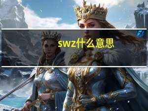 swz什么意思（swz）
